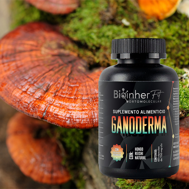 Ganoderma - Imagen 2
